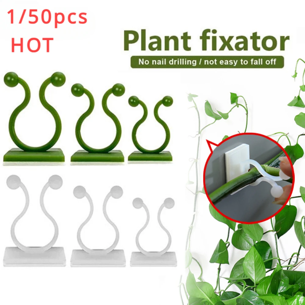 Wall Anchor Plastic - 1/30/50 قطعة لملحقات الحدائق أواني حديقة
