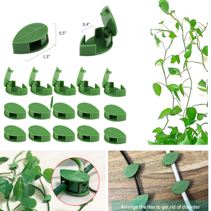 Wall Anchor Plastic - نبات غير مرئي تسلق تركيبات الحائط