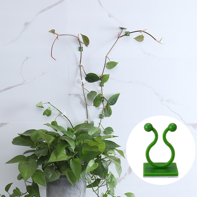 100 قطعة-منزل حديقة النبات تسل - مراجعة Wall Anchor Plastic وسعره